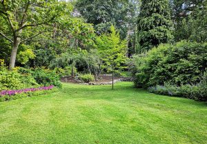 Optimiser l'expérience du jardin à Beauchamps